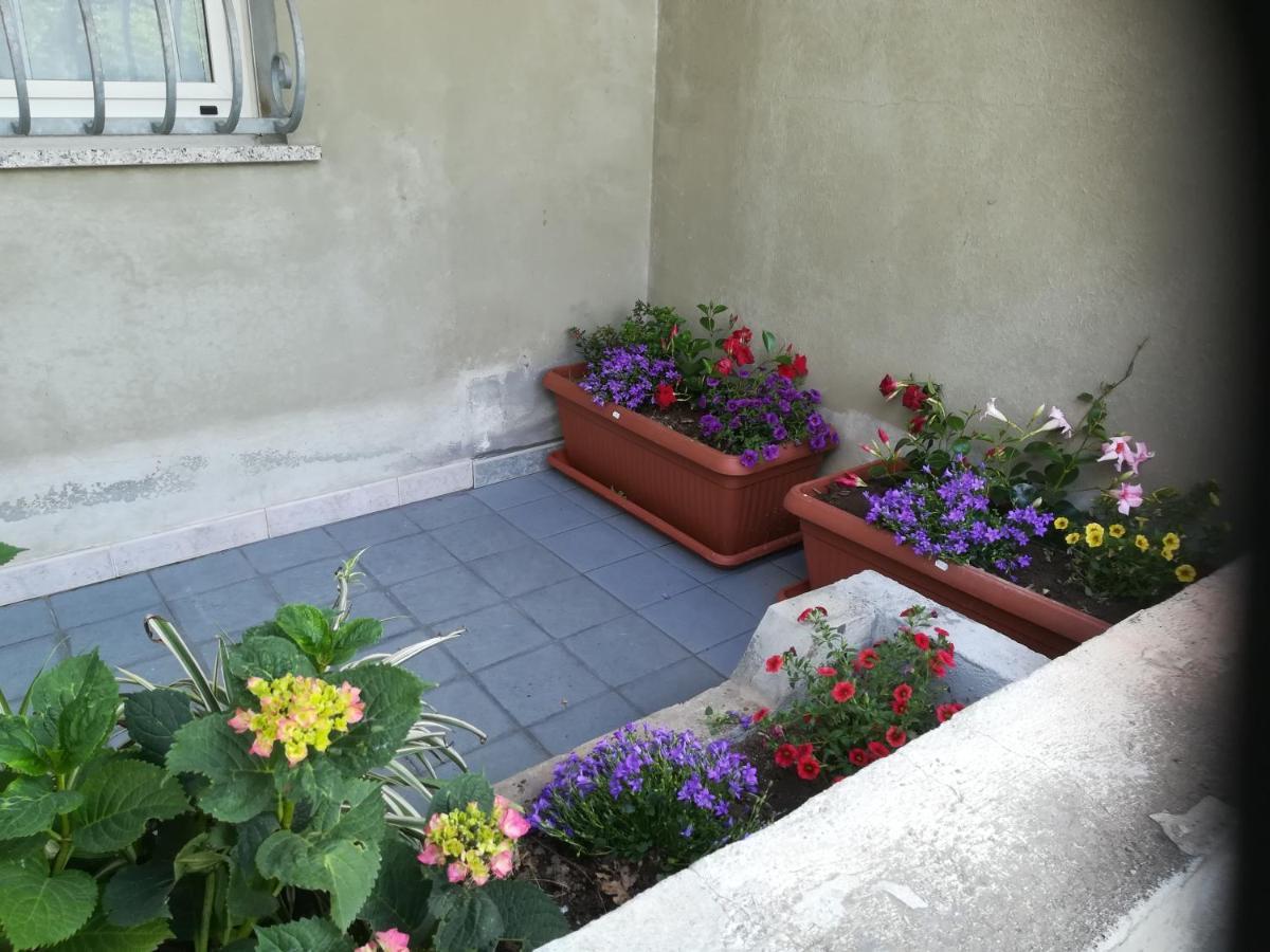 Ferienwohnung L Agrifoglio Di Rita Loddo Fonni Exterior foto
