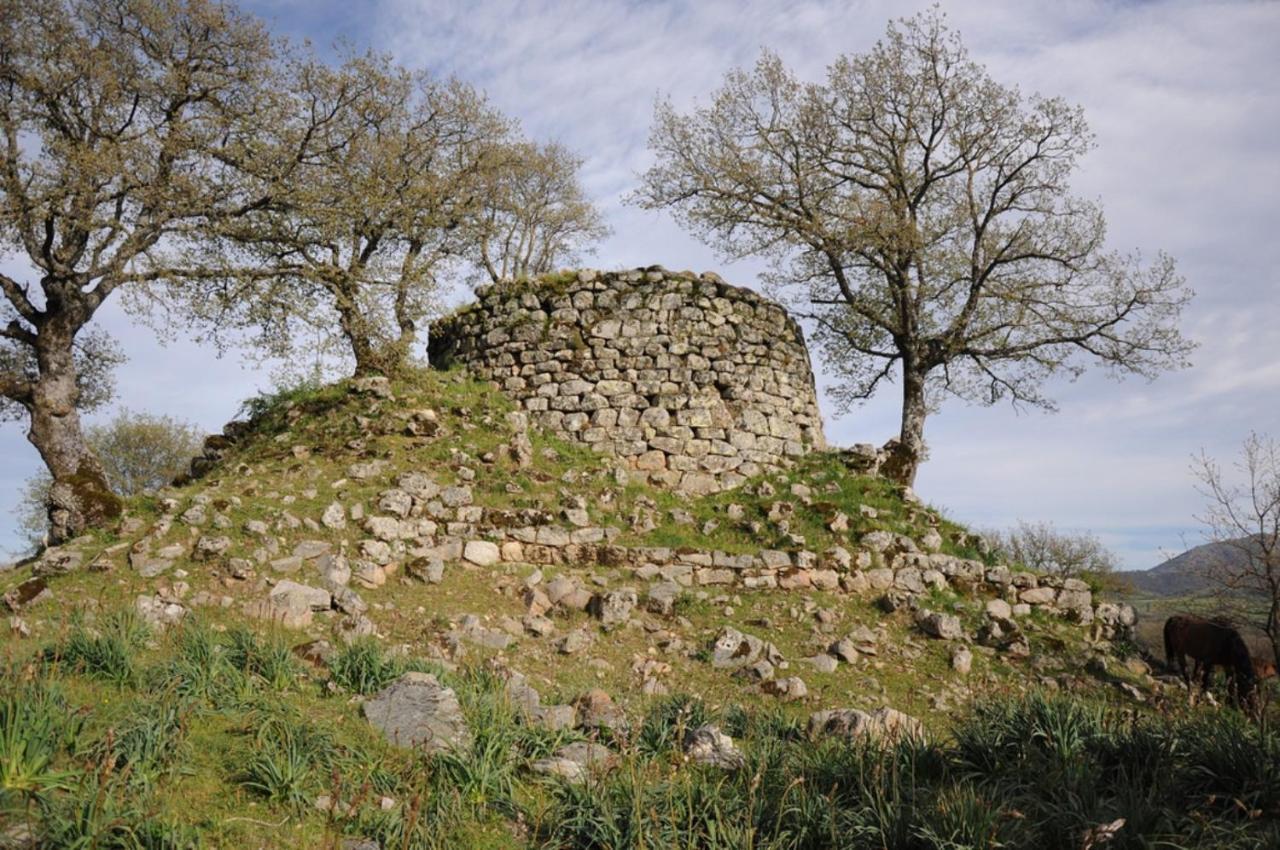 Ferienwohnung L Agrifoglio Di Rita Loddo Fonni Exterior foto